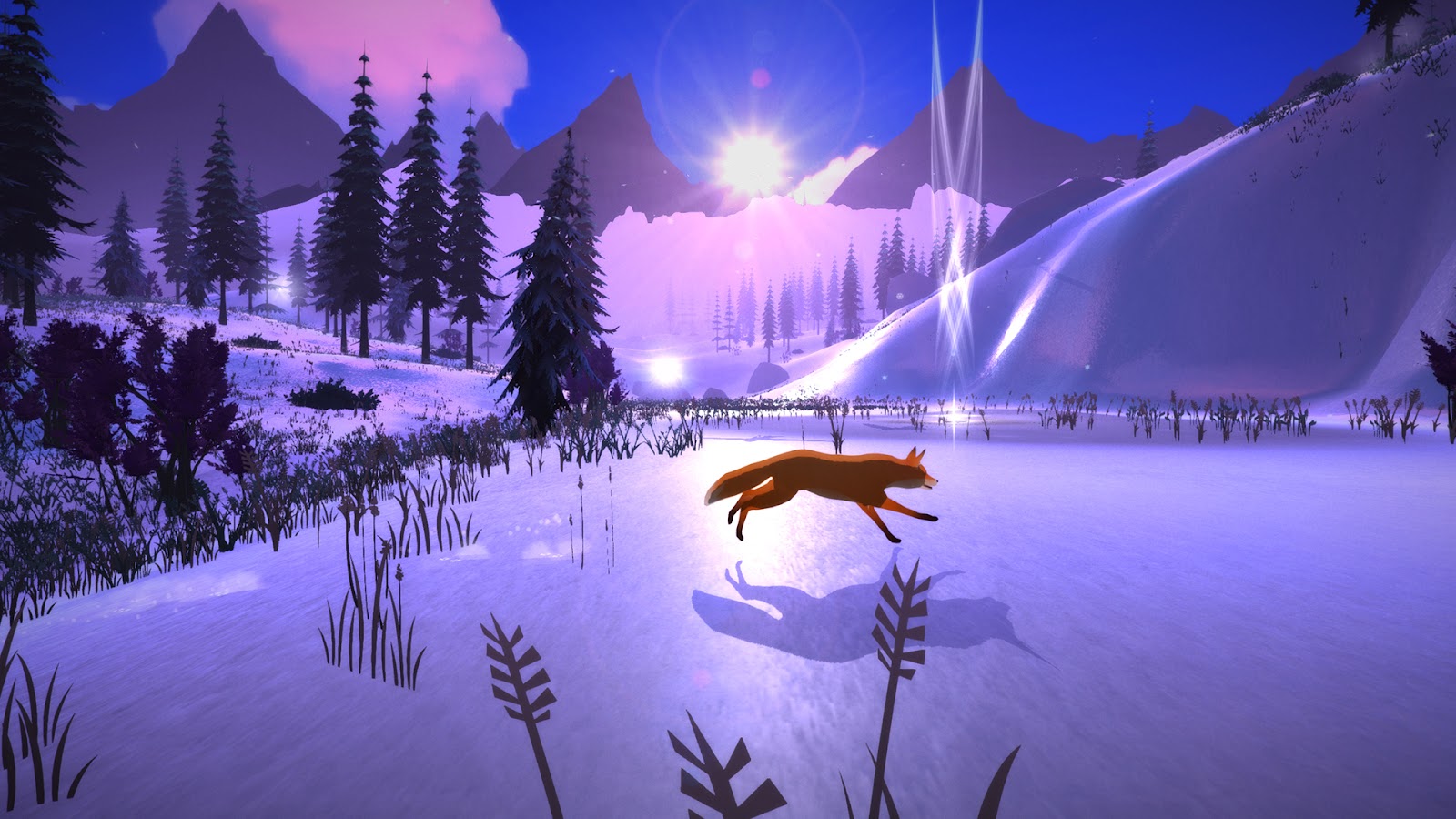 A leaping fox in a snow filled landscape