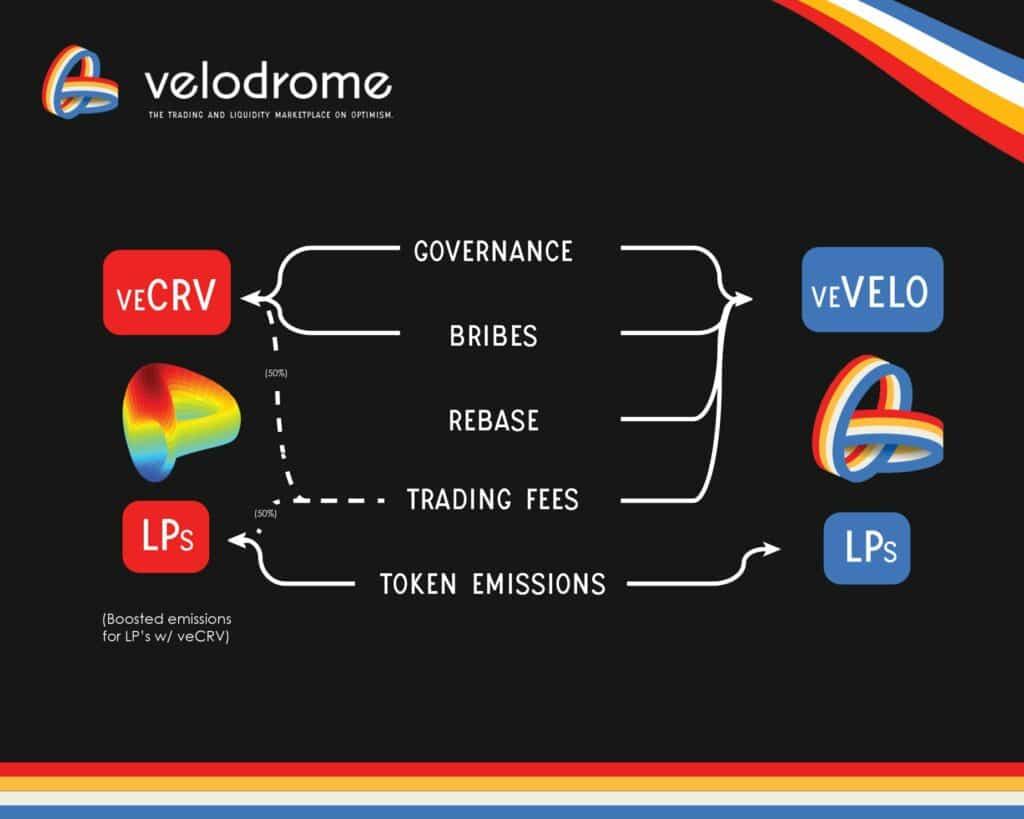 Velodrome-vs-Curve