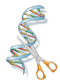 Molécula de DNA sendo cortada por uma tesoura - apresentações acadêmicas