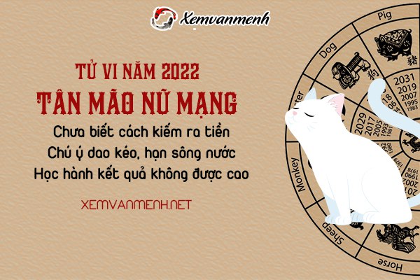 tu-vi-tuoi-tan-mao-nam-2022-nu-mang-2011