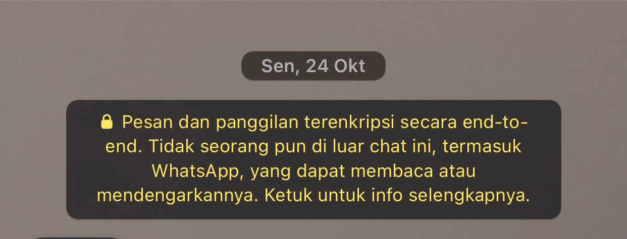 Apa Itu Enkripsi? Pengertian, Penggunaan dan Cara Kerjanya - 2024