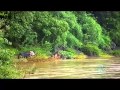 Video for Destruction of Riverine Ecosystem in India