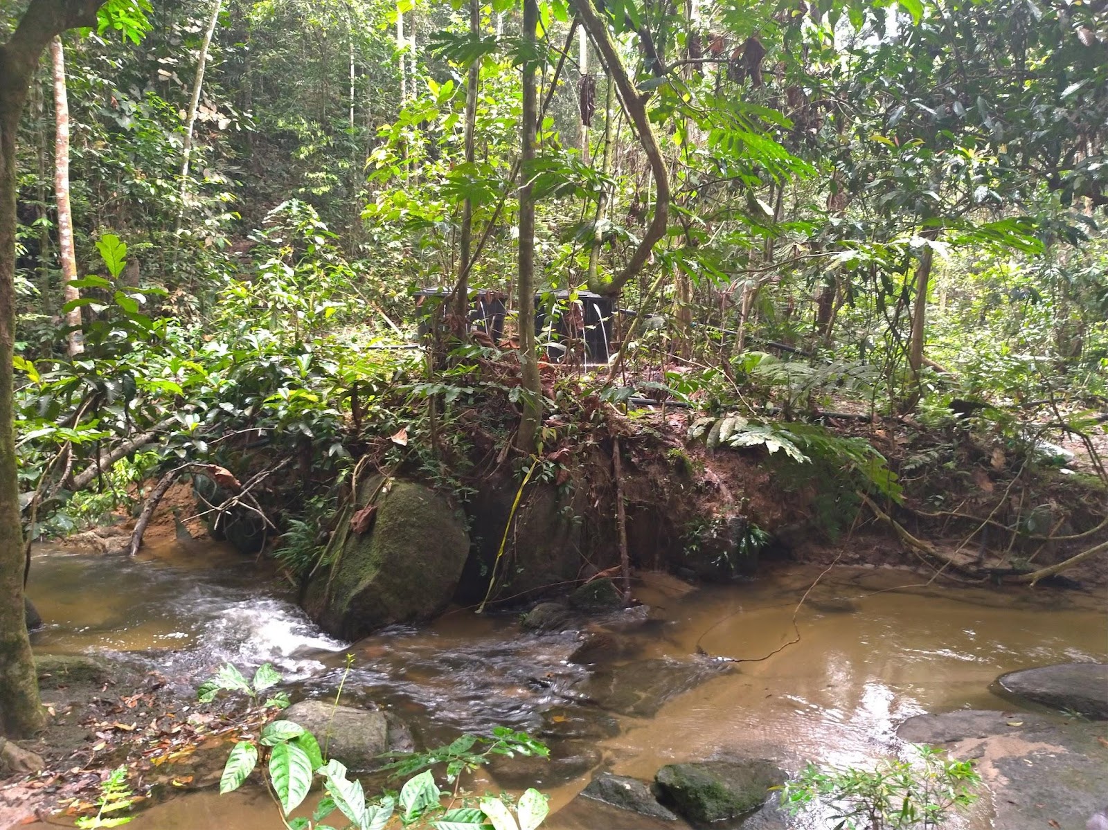 馬來西亞 自行車 腳踏車 行程 旅行 心得 吉隆坡 Sungai Tekala Recreational Forest