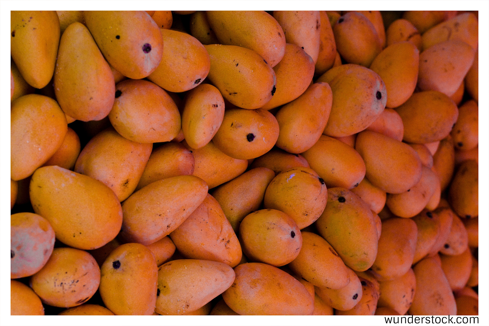 Король фруктов: лучшие летние рецепты с манго