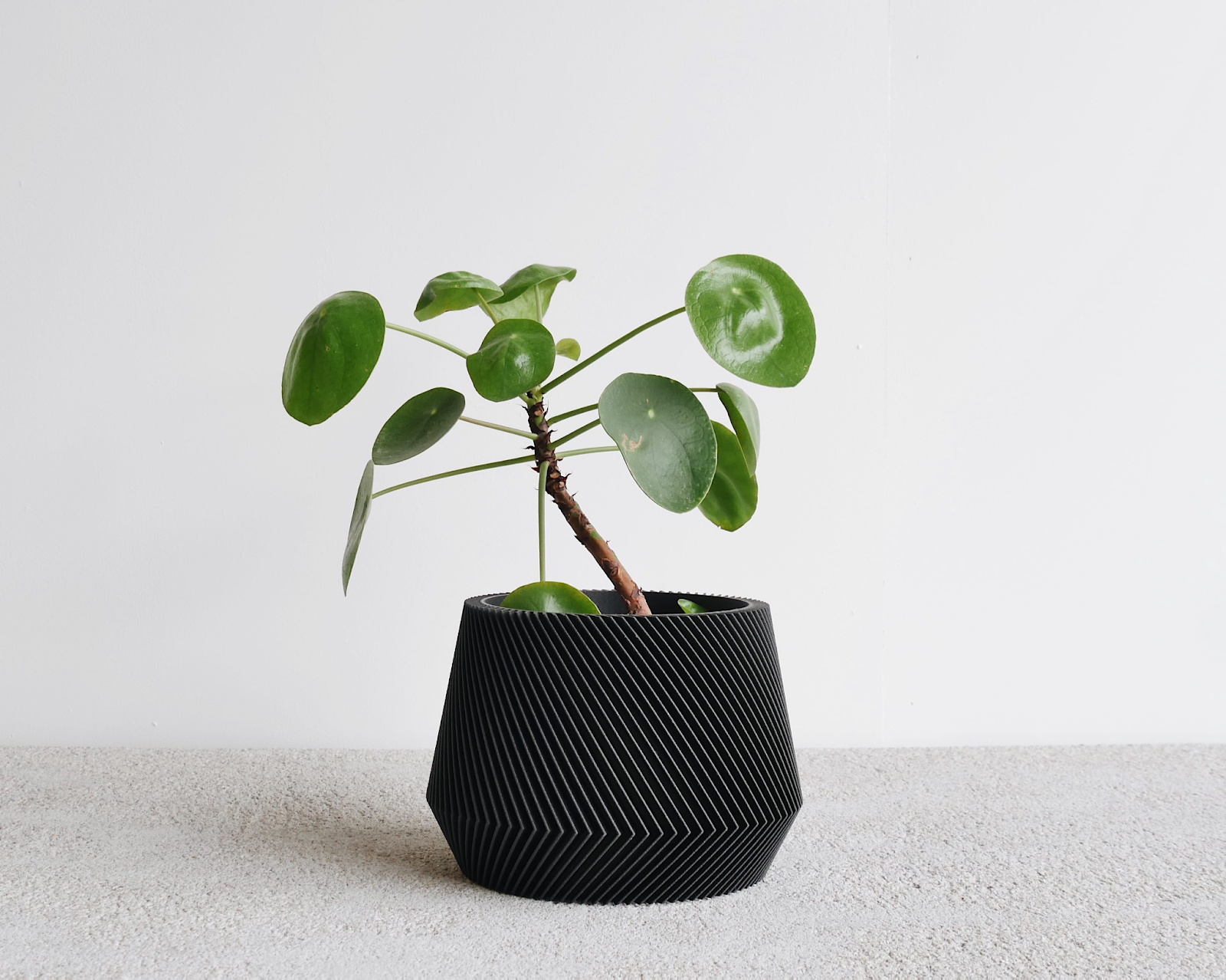 indoor plants decor - Minimal plant pots