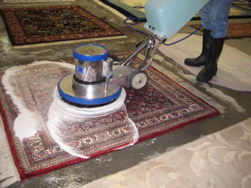 Rug Cleaning and Care