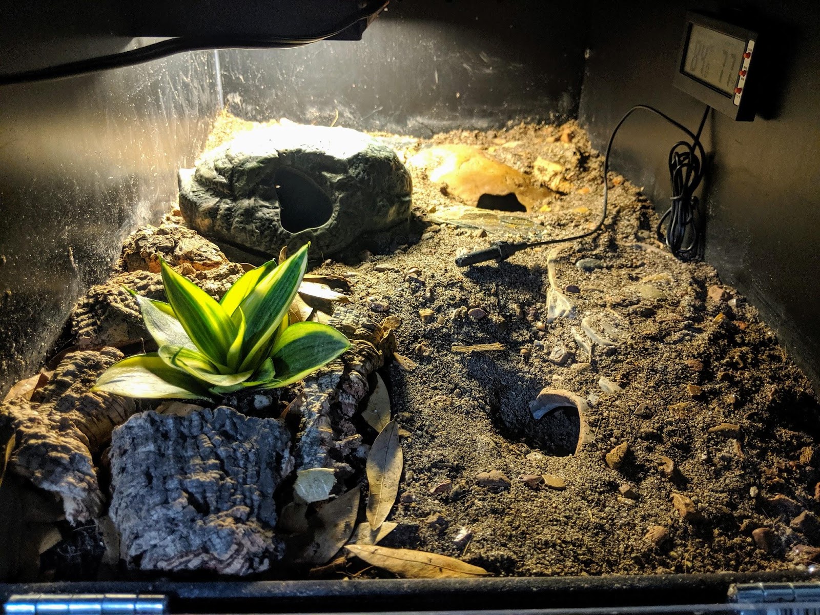 Played around with my excavator clay and thought I might make a cave I  could see into so worth it. : r/leopardgeckos