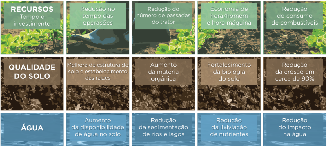 Benefícios do Sistema de Plantio Direto, uma das práticas adotadas em agricultura de baixa emissão de carbono