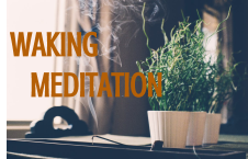  Intentional Breath