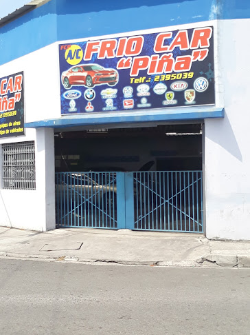 Frio Car Piña - Guayaquil