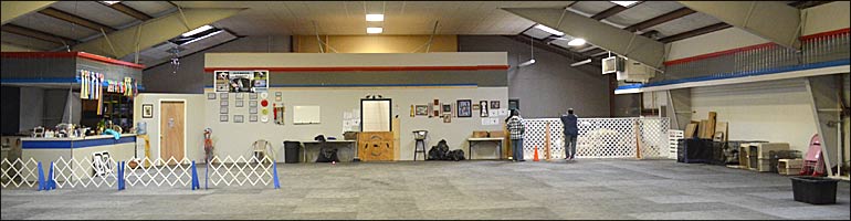 Central K9 features an 80 x 80 open space for indoor canine events.