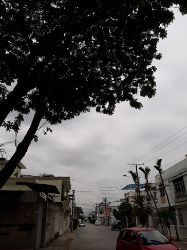 V4J5+69J, 3er Callejon 20 NE, Guayaquil 090502