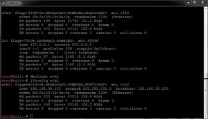 cum-setez-o-adresa-ip-in-mod-dinamic-pe-o-interfata-ethernet-in-terminal-linux