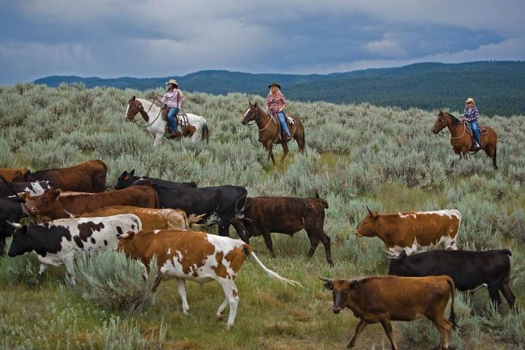 Our lives have a different rhythm, now, but the desire to escape is more powerful than ever. Ranches in the US offer an easy getaway a million miles away ...
