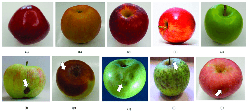 a collection of apple images with different variations in its health, shape, and colors