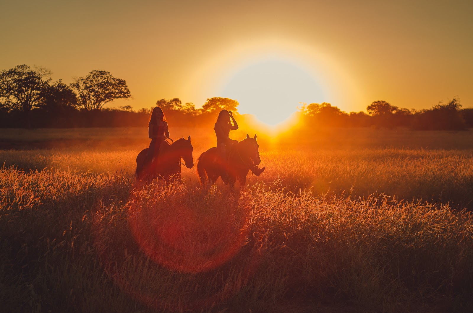 silhouette-photo-of-two-persons-riding-horses-2714627/animal lovers career