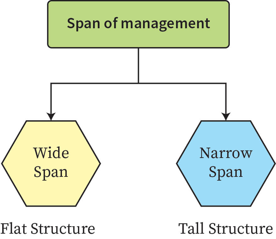 Types of span of control
