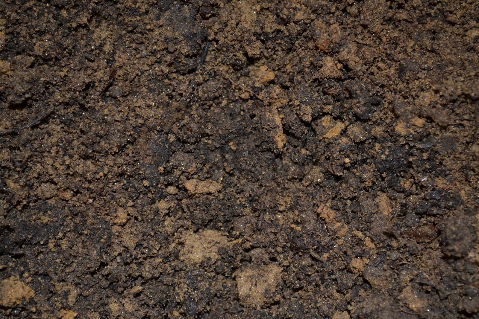 Moist soil