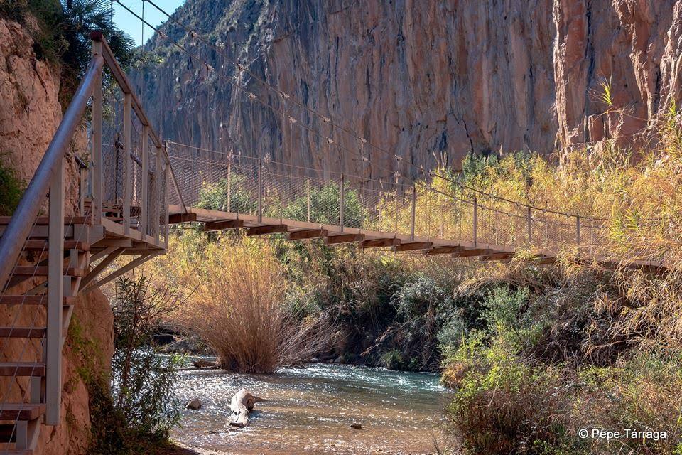 La imagen puede contener: puente, planta, Ã¡rbol, exterior, naturaleza y agua