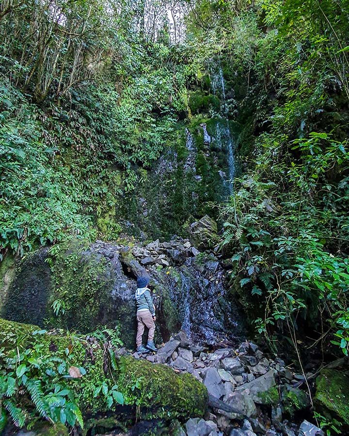 Ashley Gorge Loop Track and Waterfall - NZ Raw