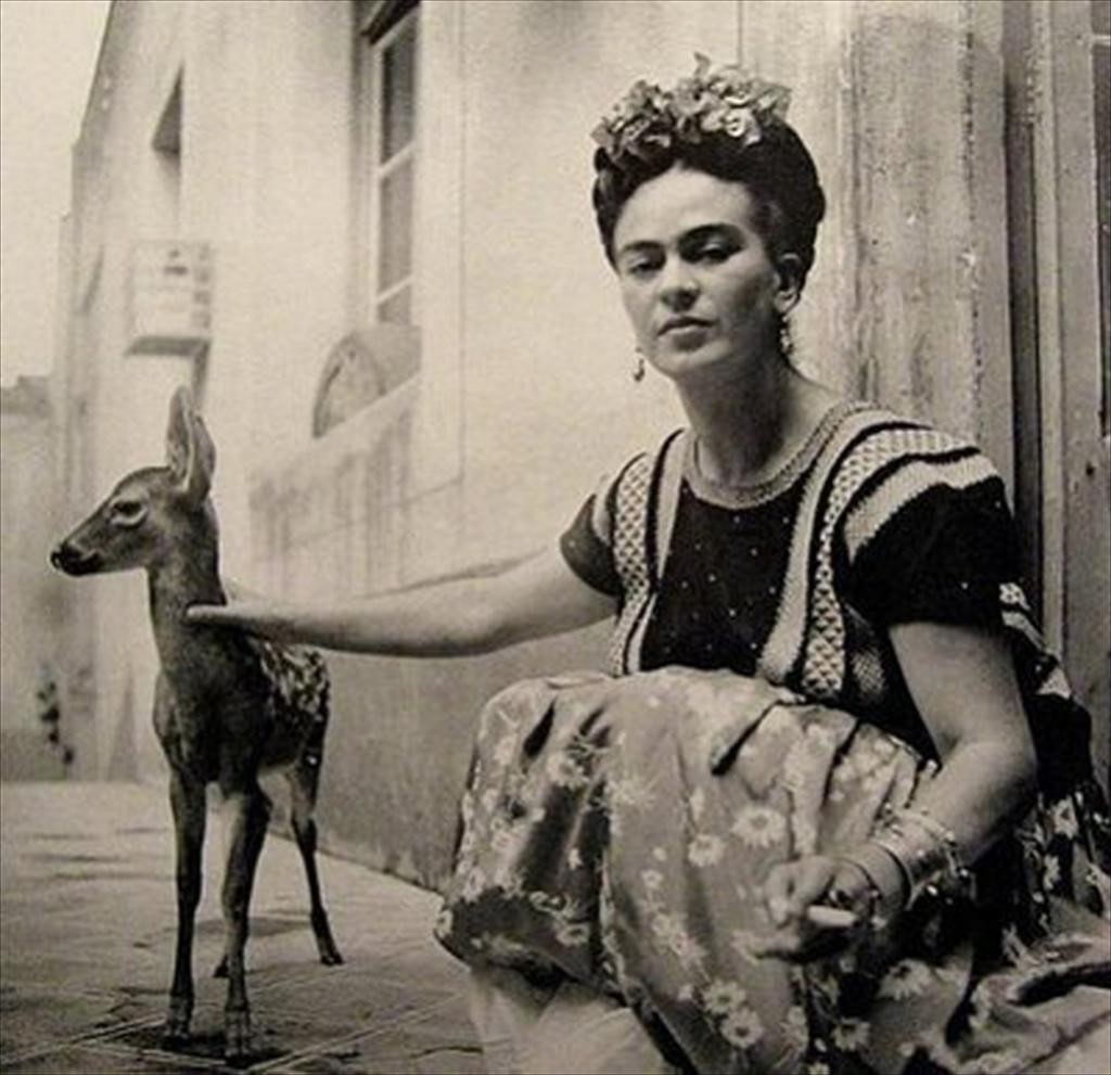 Frida Kahlo and her Animalitos Art Project – Art is Basic | An Elementary  Art Blog