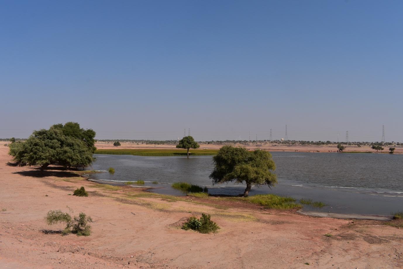 Degrai Oran Pond, Degrai Village, Jaisalmer. 