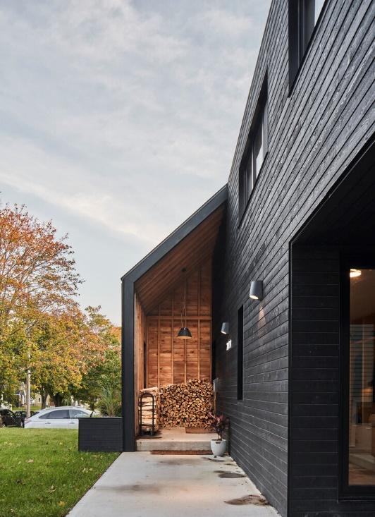 проект дома с черным фасадом из дерева