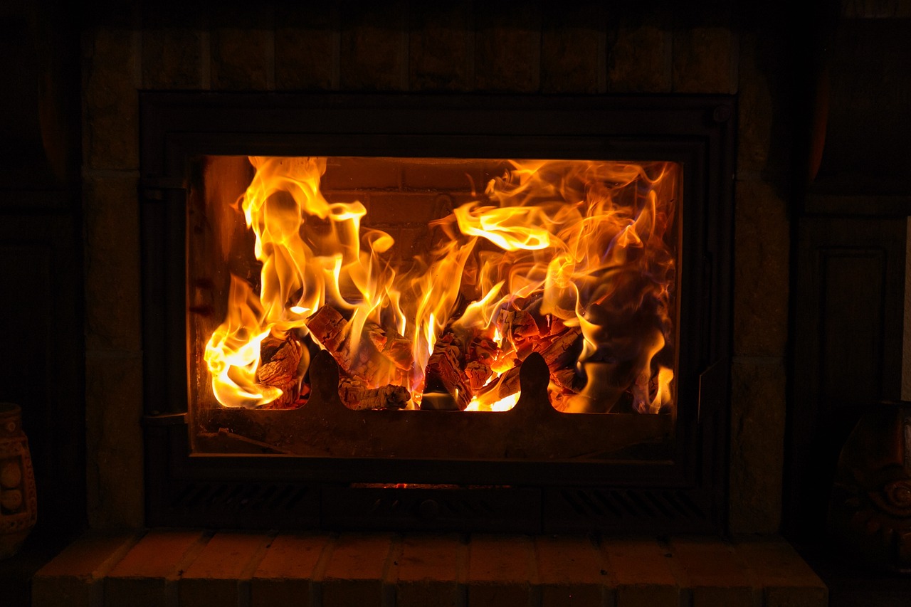 Wood Burners vs Gas Fireplaces: All You Need To Know | Home