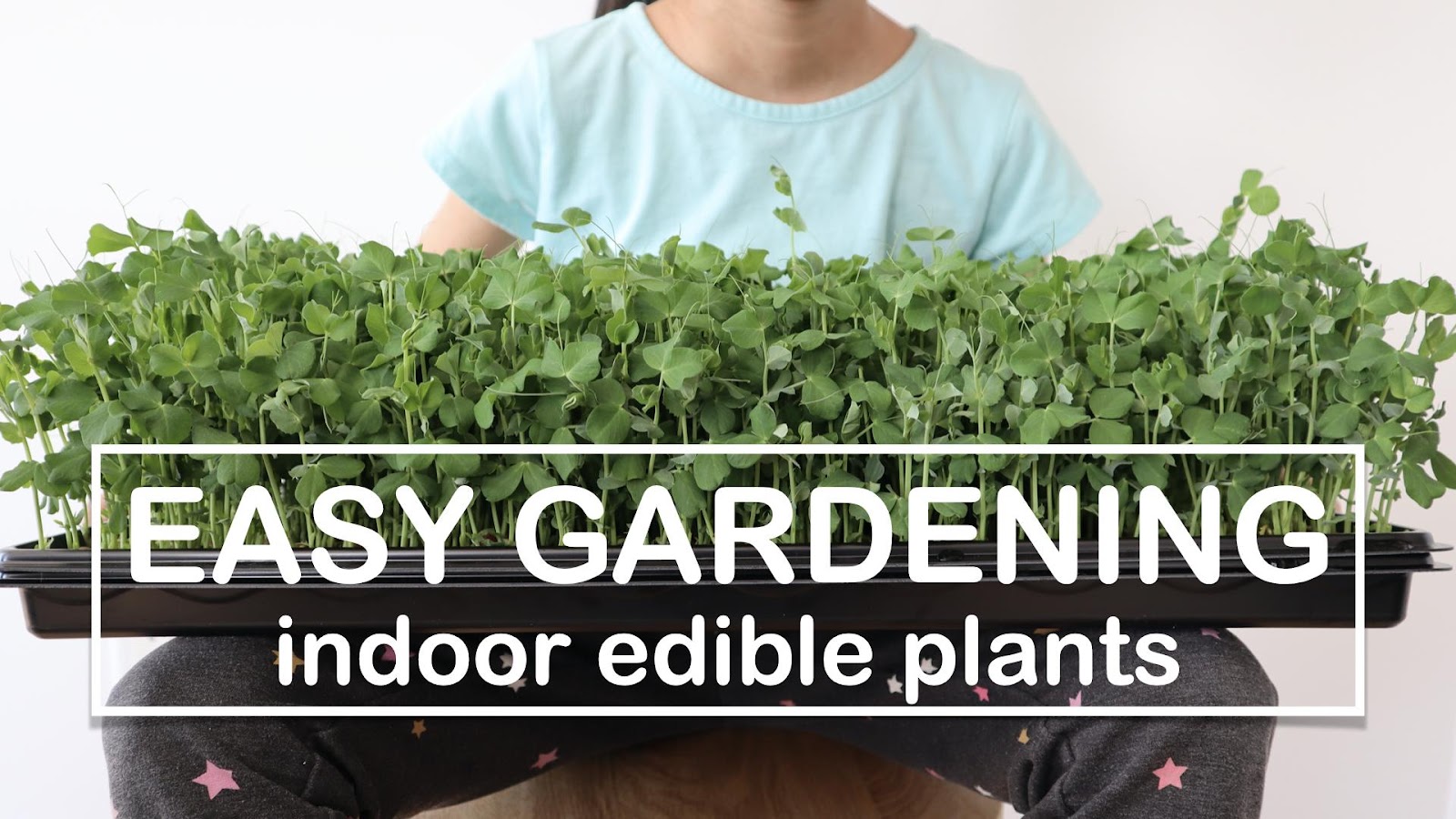 Online Easy Gardening: Indoor Edible Plants course by skillshare 