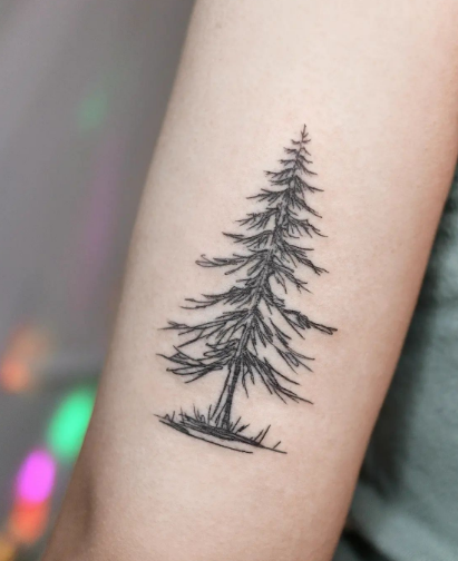 Pretty Pine 