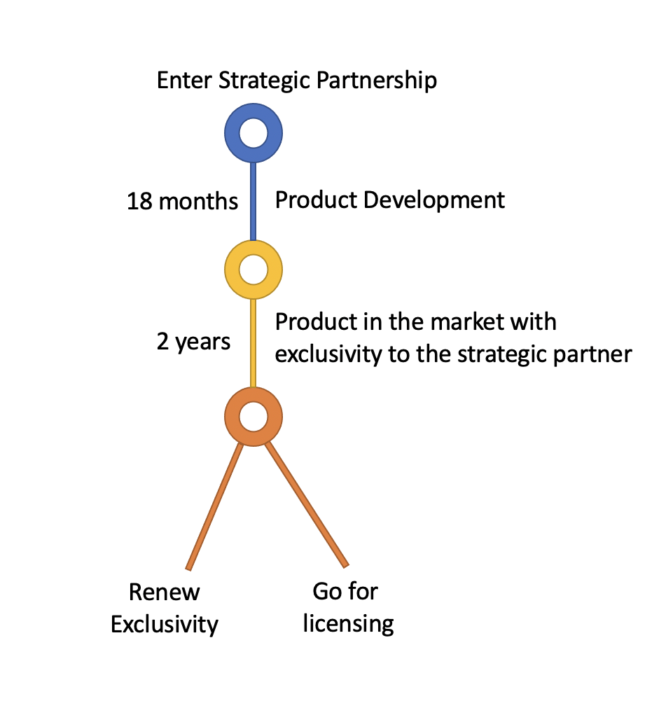 Seeking Investment Using Patents | Offer Exclusivity To Strategic Partner