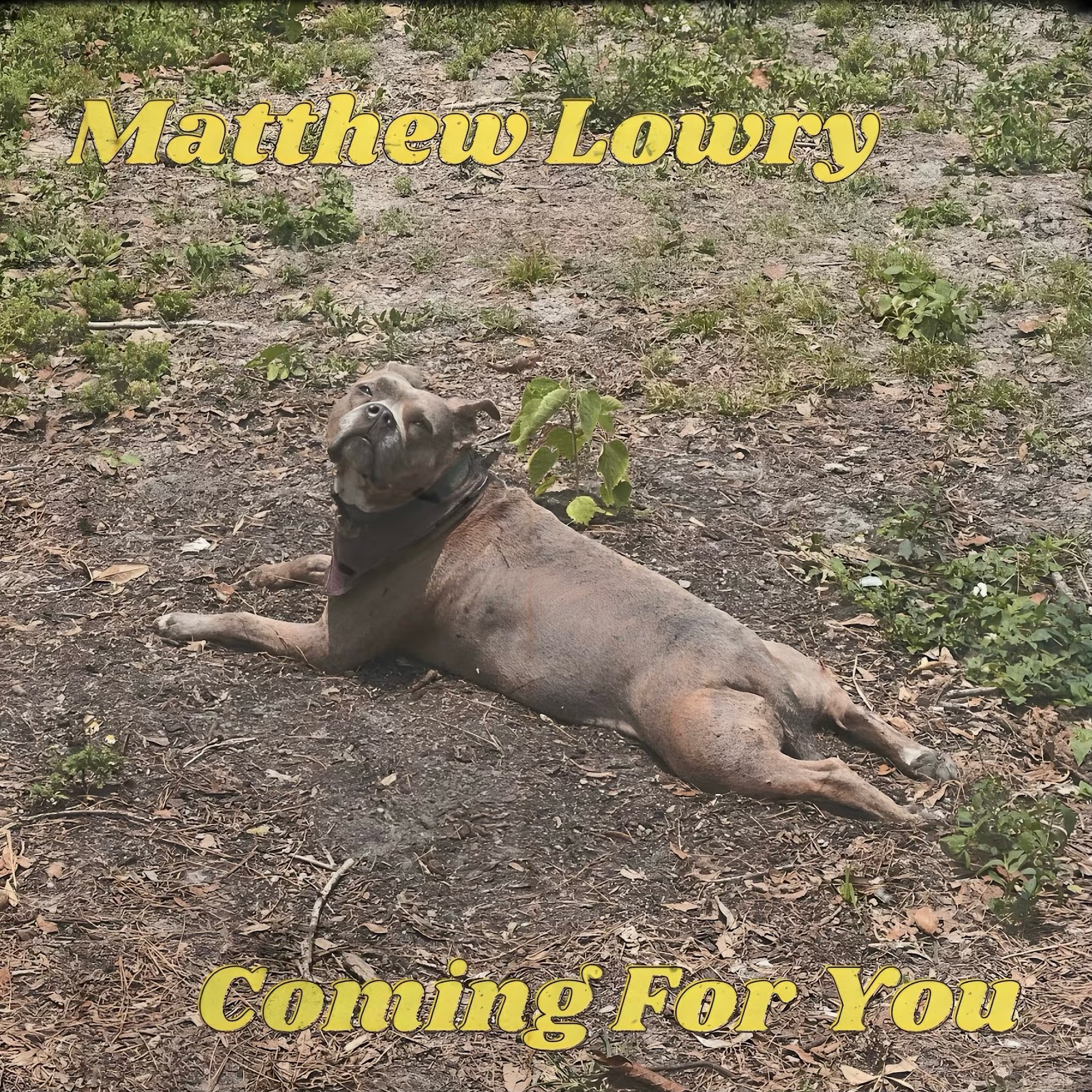 Matthew Lowry Releases High Energy Track 'Coming For You' From Upcoming Debut Album 