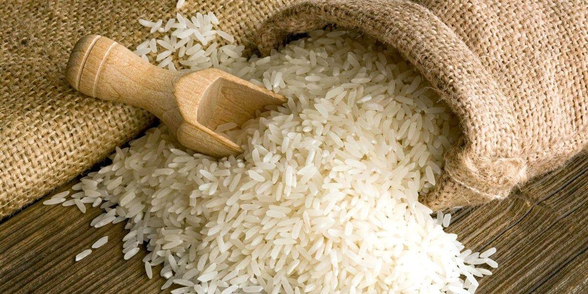 کدام برنج های ایرانی، لقب بهترین ها را می‌گیرند؟