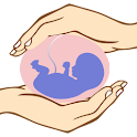 101 Pregnancy Safety Tips Free apk