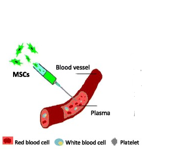 Trattamento dell'atassia con le cellule staminali