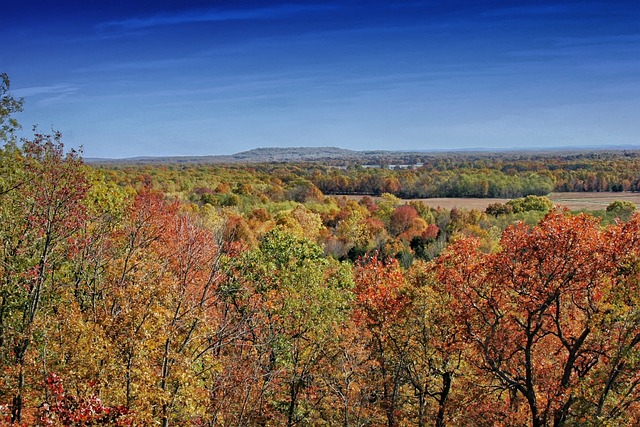 Ozark National Forest, Arkansas has one of the best campsites for fall foliage