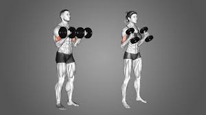 Hammer Curls vs Bicep Curls: 7 Major Differences Explained - Inspire US