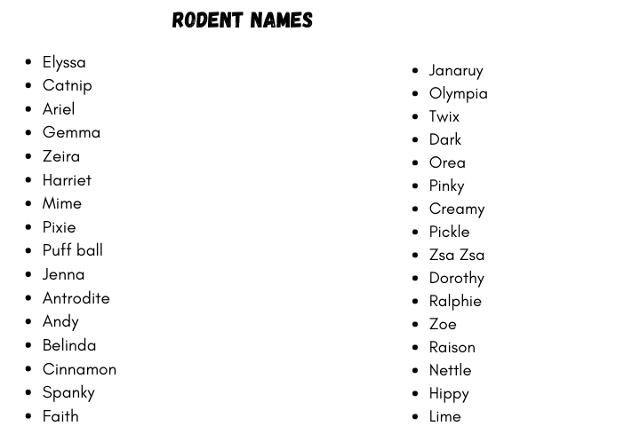Pet Rodent Names