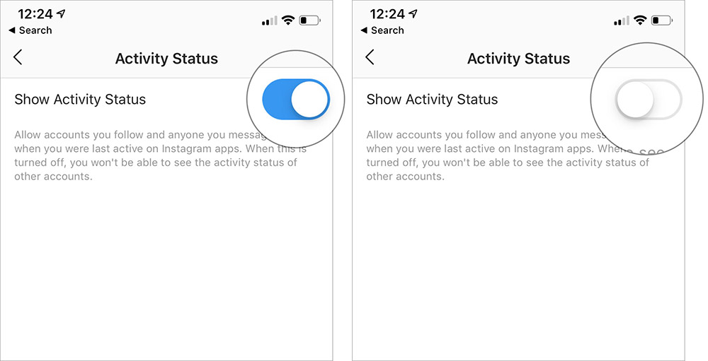   Disable Switch to Disable Status of Instagram Activity on iPhone and Android Phone 