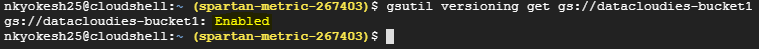 object versioning