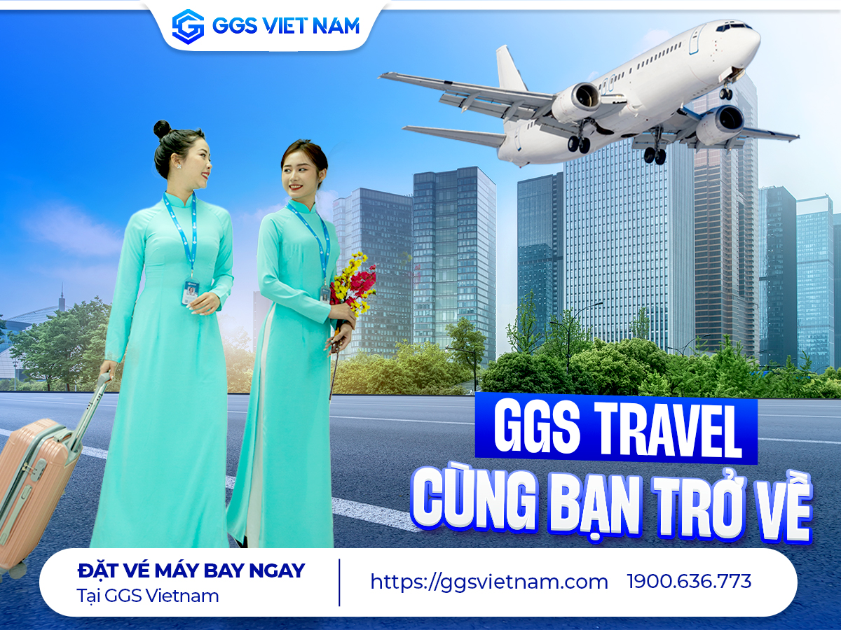 Vé máy bay từ Nhật Bản về Việt Nam tre - Lựa chọn thông minh cho du khách