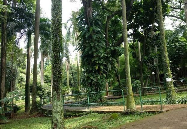 taman di jakarta