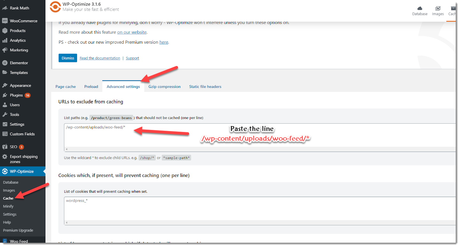 exclude feed file from WP Optimize cache