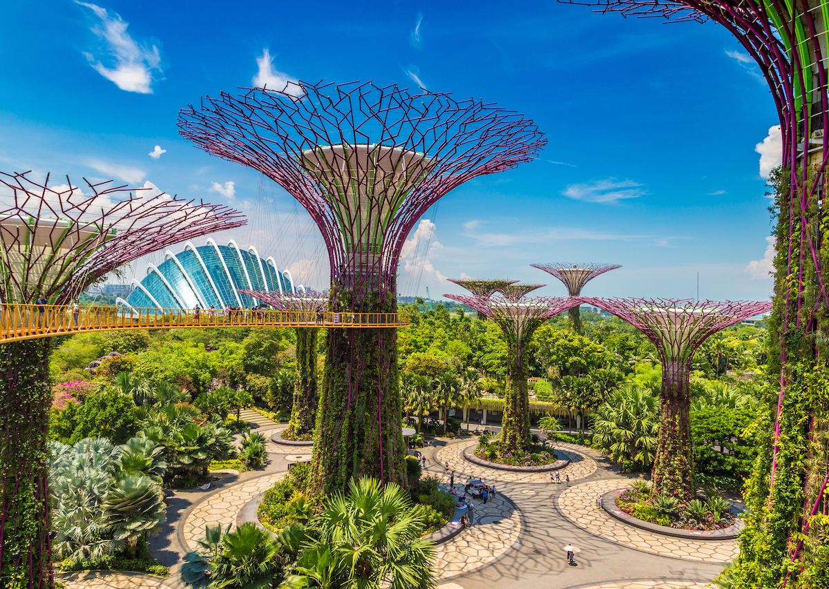 The ultimate walking tour of Singapore's Gardens by the Bay | Visit  singapore, Gardens by the bay, Singapore garden