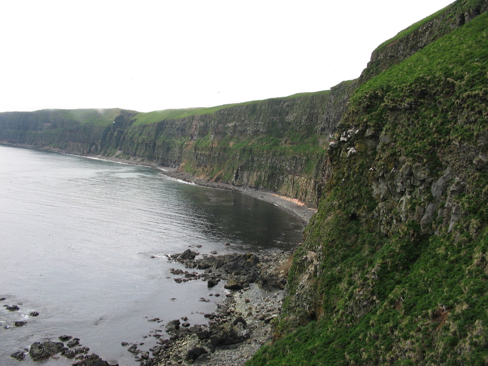 gardencove.jpg