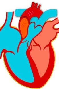 Download Learn Medical Terminology apk