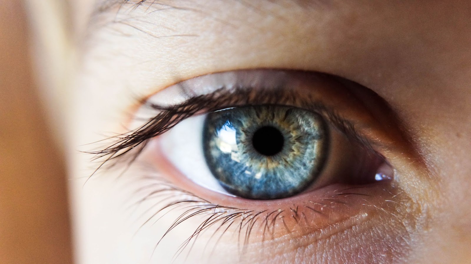 close up of human eye, eyesight, vision, optometry, 