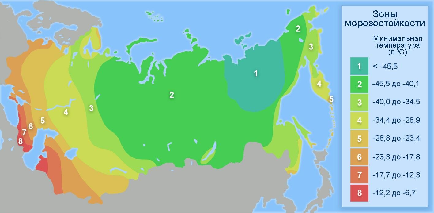 Зоны морозостойкости