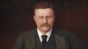 Image result for theodore roosevelt