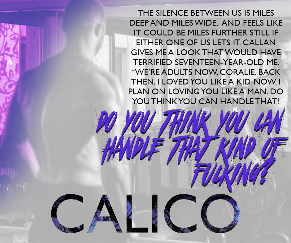 calico teaser.jpg